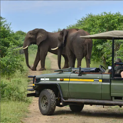 Game Drives